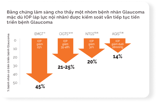 Quản lý điều trị hội chứng glaucoma