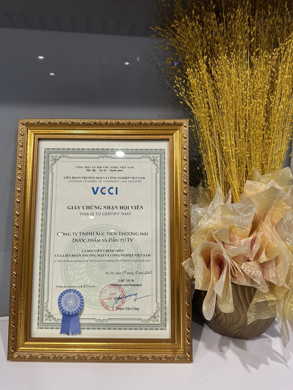 TV-TPI-han-hanh-tro-thanh-hoi-vien-cua-VCCI-–-Lien-doan-thuong-mai-va-Cong-nghiep-Viet-Nam